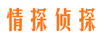 江阳侦探公司